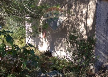 Giardino - Rustico Contrada Conventazzo
 
snc, Vizzini - foto 23