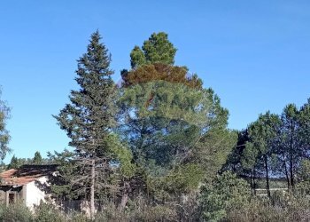 visione d\' insieme terreno e rustico - Rustico Contrada Conventazzo
 
snc, Vizzini - foto 29