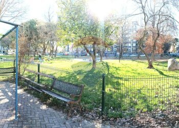 Giardino - Attività Commerciale joli
 
3, Novara - foto 6