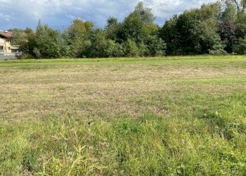 area fabbricabile - Terreno edificabile Corso Alpi
 
snc, Mondovì - foto 5