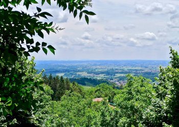 Foto 11 - Stable - Palace Via Colombaro, Albugnano - photo 11