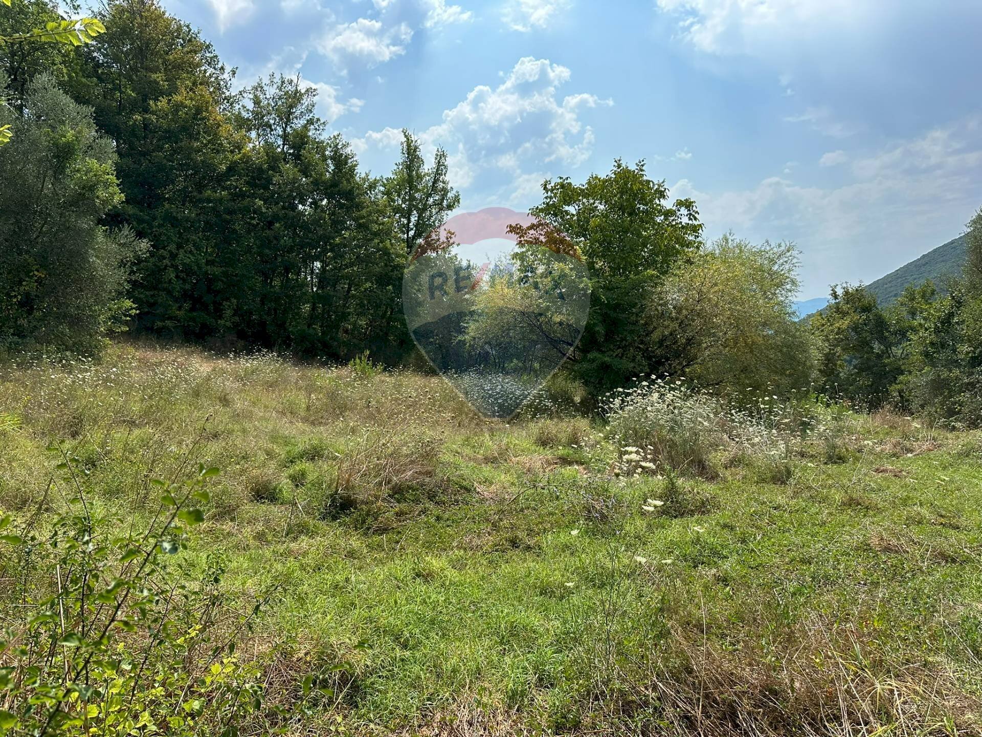 Giardino - Building land Via IV Novembre
snc, Colli a Volturno - photo 3