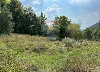 Giardino - Terreno edificabile Via IV Novembre
 
snc, Colli a Volturno - foto 3