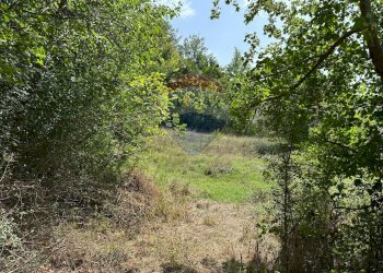 Giardino - Terreno edificabile Via IV Novembre
 
snc, Colli a Volturno - foto 4