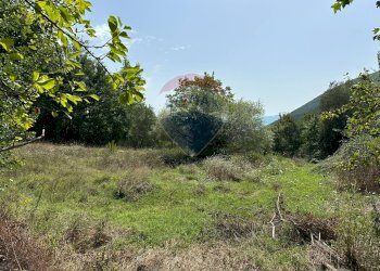 Giardino - Terreno edificabile Via IV Novembre
 
snc, Colli a Volturno - foto 6