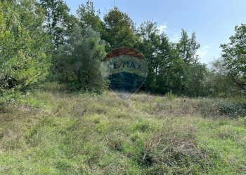 Giardino - Terreno edificabile Via IV Novembre
 
snc, Colli a Volturno - foto 10