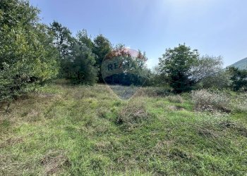 Giardino - Terreno edificabile Via IV Novembre
 
snc, Colli a Volturno - foto 11