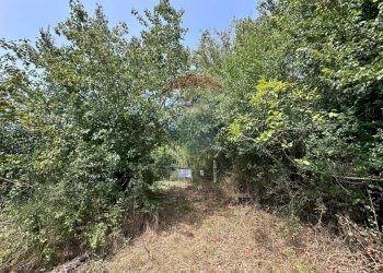 Giardino - Terreno edificabile Via IV Novembre
 
snc, Colli a Volturno - foto 12