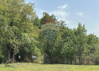 Giardino - Terreno edificabile Via IV Novembre
 
snc, Colli a Volturno - foto 14