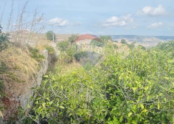 Vista delle montagne - Rustico C.da San Giacomo - Fattoria Musso, Ragusa - foto 11