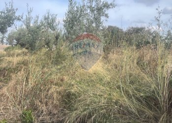 Non correlato - Rustico C.da San Giacomo - Fattoria Musso, Ragusa - foto 12