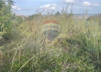 Non correlato - Rustico C.da San Giacomo - Fattoria Musso, Ragusa - foto 13