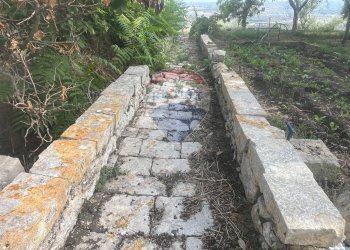 Giardino - Rustico C.da San Giacomo - Fattoria Musso, Ragusa - foto 15