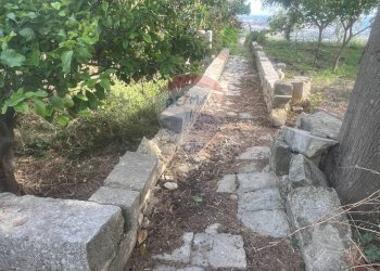 Giardino - Rustico C.da San Giacomo - Fattoria Musso, Ragusa - foto 16