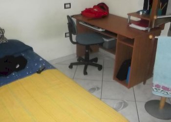 Foto 5 - Terreno non edificabile via rindi, Pisa - foto 5