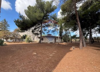 Terrazza - Villa Via Salemi
 
343, Mazara del Vallo - foto 14