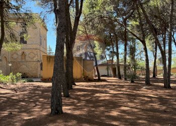 Giardino - Villa Via Salemi
 
343, Mazara del Vallo - foto 21