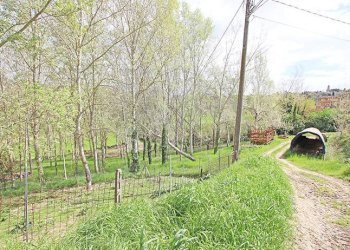 Borgo - Rustico via solferino, Terricciola - foto 35