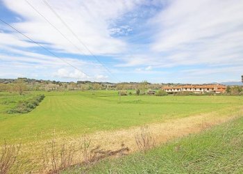 Terreni - Rustico via solferino, Terricciola - foto 56