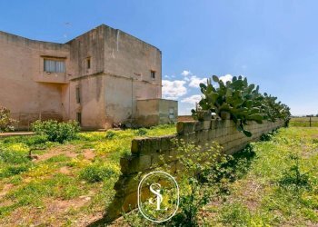 Foto 9 - Rustico Nardò - foto 9