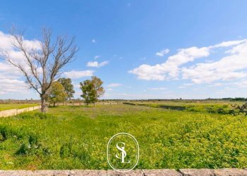 Foto 45 - Rustico Nardò - foto 45