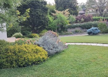 Foto 31 - Villa via Croci
 
15, Samarate - foto 12