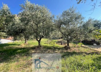 Foto 4 - Casa semi indipendente Via Palazzo, Foglianise - foto 4