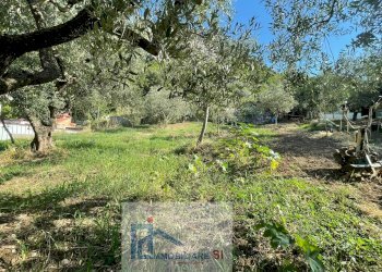 Foto 49 - Casa semi indipendente Via Palazzo, Foglianise - foto 49