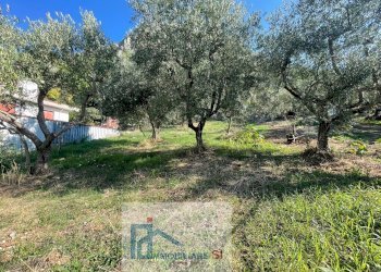 Foto 50 - Casa semi indipendente Via Palazzo, Foglianise - foto 50