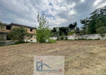 Foto 3 - Casa indipendente Contrada Mezzacapo, San Nicola Manfredi - foto 3