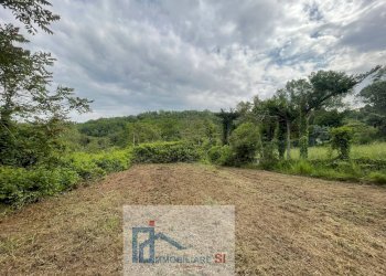 Foto 11 - Casa indipendente Contrada Mezzacapo, San Nicola Manfredi - foto 11