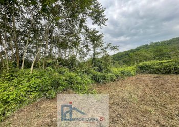 Foto 12 - Casa indipendente Contrada Mezzacapo, San Nicola Manfredi - foto 12