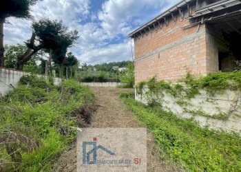 Foto 13 - Casa indipendente Contrada Mezzacapo, San Nicola Manfredi - foto 13