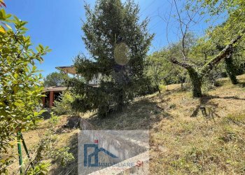 Foto 42 - Casa indipendente Contrada Pino, Benevento - foto 42