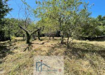 Foto 45 - Casa indipendente Contrada Pino, Benevento - foto 45