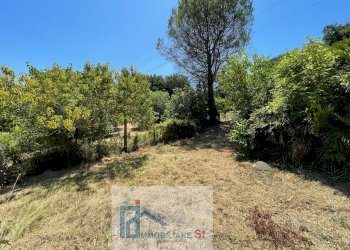 Foto 46 - Casa indipendente Contrada Pino, Benevento - foto 46