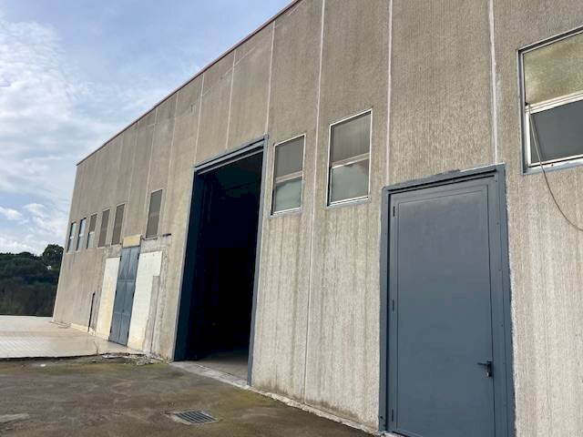 Foto 2 - Attività Commerciale Strada Aurelia 41, Capalbio - foto 2