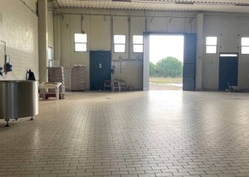 Foto 7 - Attività Commerciale Strada Aurelia 41, Capalbio - foto 7