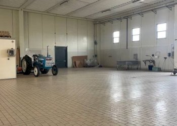 Foto 8 - Attività Commerciale Strada Aurelia 41, Capalbio - foto 8