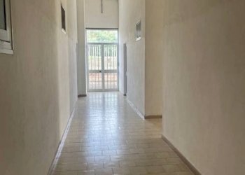 Foto 10 - Attività Commerciale Strada Aurelia 41, Capalbio - foto 10