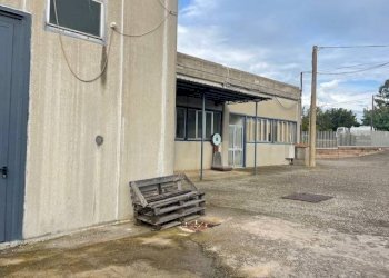 Foto 23 - Attività Commerciale Strada Aurelia 41, Capalbio - foto 23