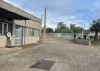 Foto 24 - Attività Commerciale Strada Aurelia 41, Capalbio - foto 24