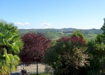 Vista - Villa via Acqui, Mombaruzzo - photo 9