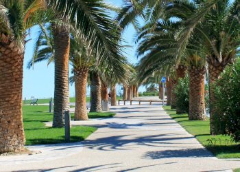 Foto 1 - Hotel Viale De Gasperi, Grottammare - foto 1