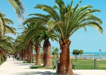 Foto 5 - Hotel Viale De Gasperi, Grottammare - foto 5