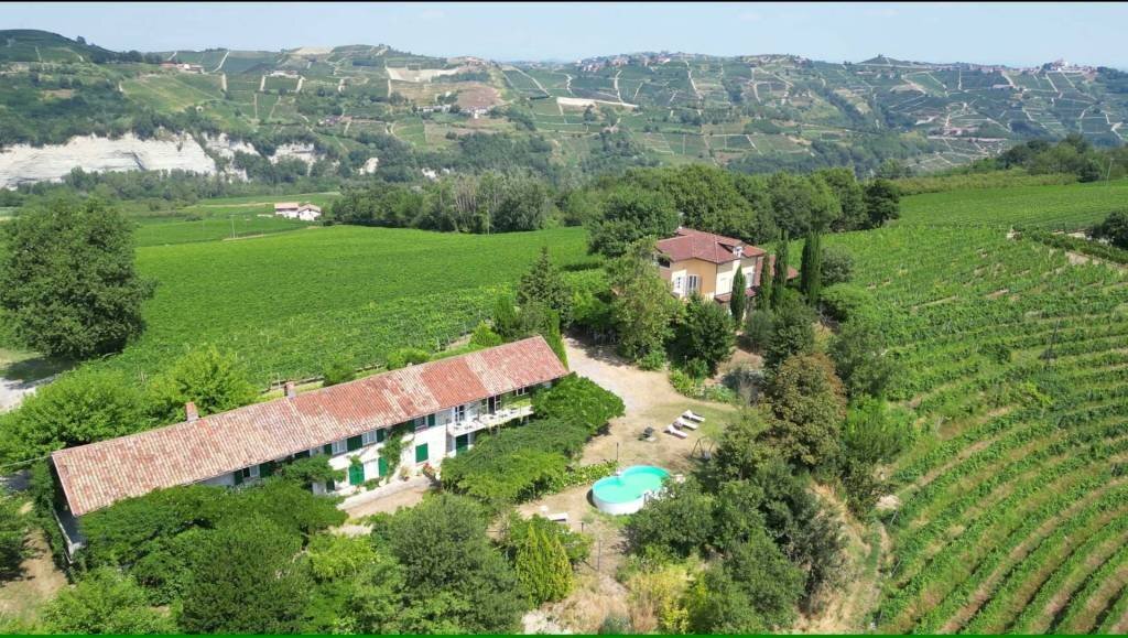 Vista - Rustic Località San Pietro Strada Provinciale, Cossano Belbo - photo 1