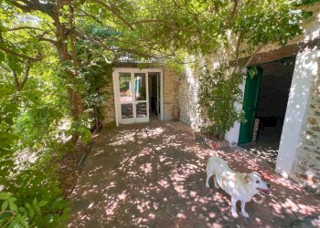 Giardino - Rustico Località San Pietro Strada Provinciale, Cossano Belbo - foto 20