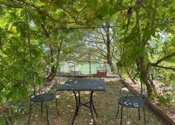 Giardino - Rustico Località San Pietro Strada Provinciale, Cossano Belbo - foto 44