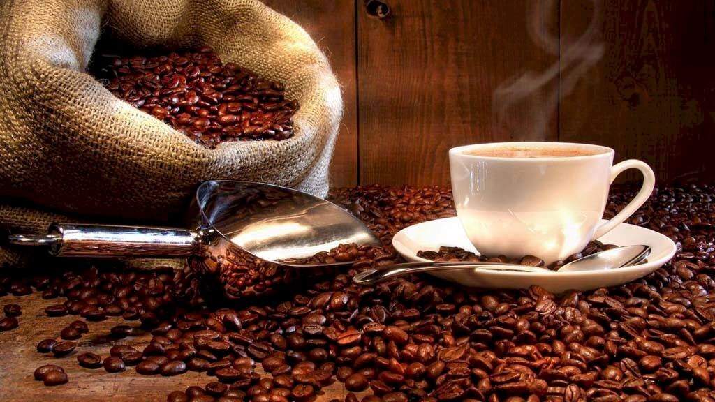 Altro - Bar Tavola Calda - Fredda Torino - foto 3