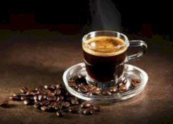 Altro - Bar Tavola Calda - Fredda Torino - foto 5